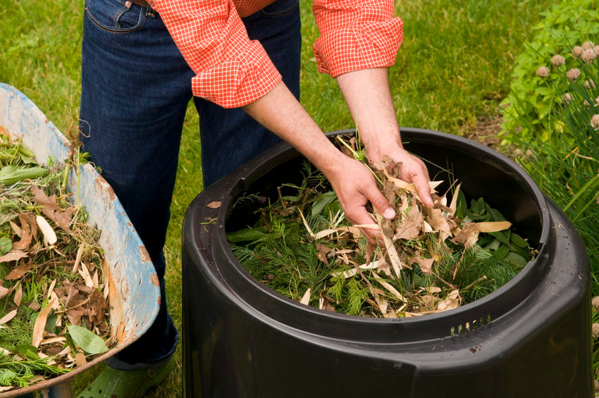 Composting Challenge